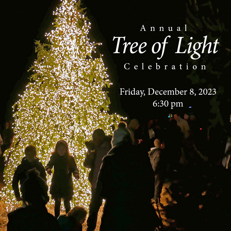 The Lewis School Tree of Light Celebration 2023 Children around lighted tree